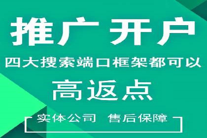 解析某某SEM服务公司如何通过数据分析优化广告效果